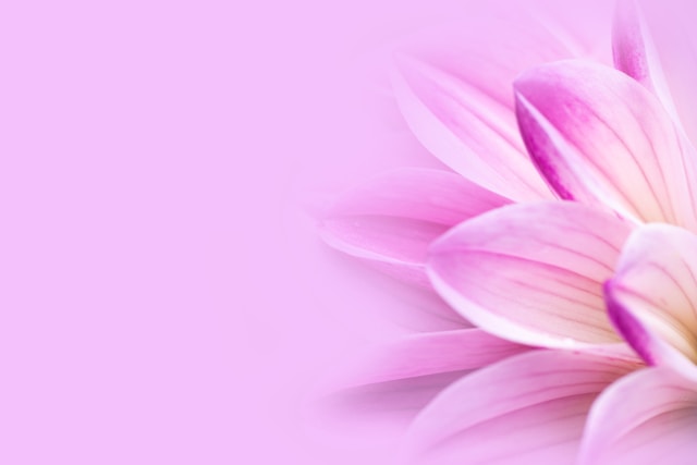 Martramstira közösség